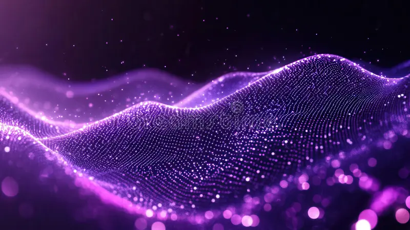 VebboPay fintech platform for businesses
